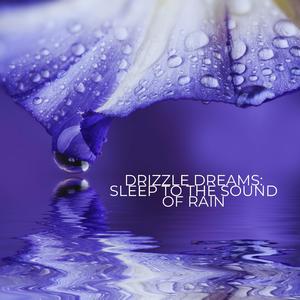 Rainfall Retreat: Zen in Your Ears