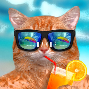 【Free】‘Soda’