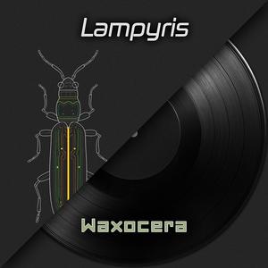 Lampyris (Glow-Worms)
