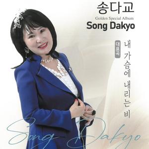 내가슴에내리는비