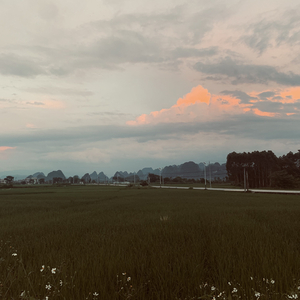 #百万奖金AI创作大赛+主题二