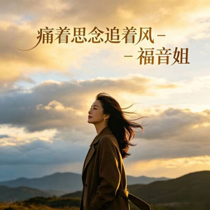 痛着思念追着风 (烟嗓版)