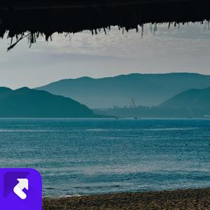 猫抓老鼠（治愈经典钢琴曲）