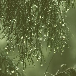 有趣读情怀