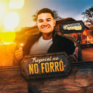 Coqueiro da Bahia / Meu Beija Flor