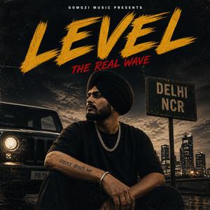 LEVEL