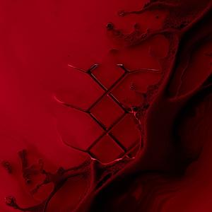 Arrival (DAMEN Remix)