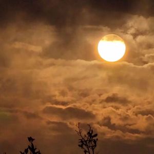 趁你还爱趁他还在