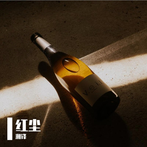 断弦琴音的残梦