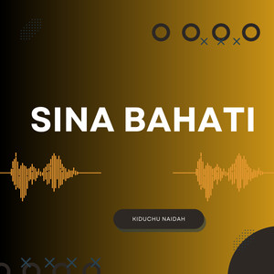 Sina Bahati