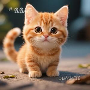 心动轨迹图鉴