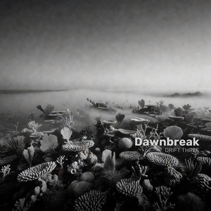 Dawnbreak