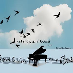 Kırlangıçların Uçuşu (Live)