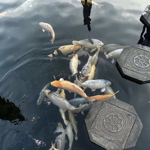 你突然的问候，点亮整个宇宙