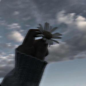 Asking The Flowers (feat. bludcult)