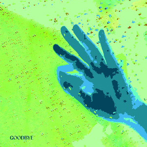 Goodbye