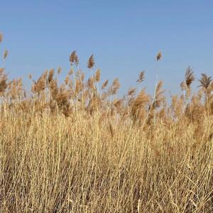 你好陌生人天涯