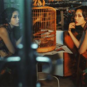 相思（微醺版）