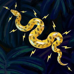 Electric Anaconda