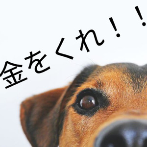 金をくれ！！