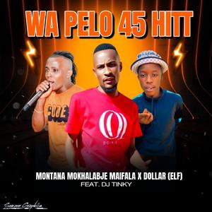 WA PELO 45 HITT (feat. Dollar (ELF) and Dj Tinky)