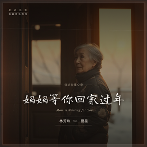 妈妈等你回家过年