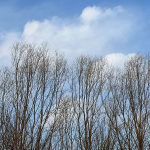 逃离喧嚣的夏日