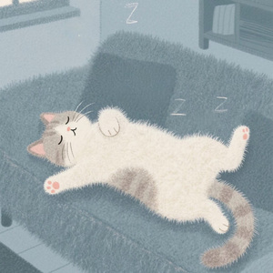 小猫幸福日记（降速版）