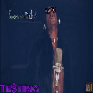 TE$tING