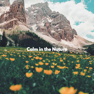 Bright Calm Flow