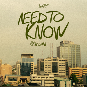 Need To Know (feat. Ric Hassani)