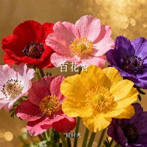 百花香 (Cover 魏新雨)