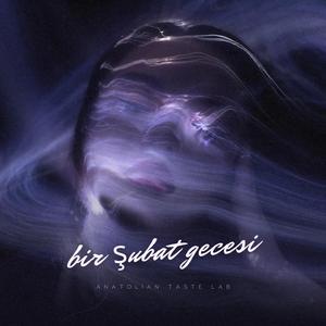 Bir Şubat Gecesi