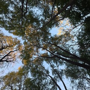 理想之爱的徒劳与重构