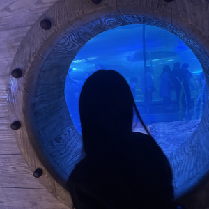 关你西红柿FREESTYLE.wav