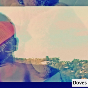 Doves