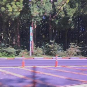 迷失丛林（完整版）