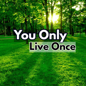 人生は一度だけ