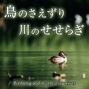 鳥のさえずりと川のせせらぎ 1