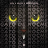 R3JA - Gato de Noche