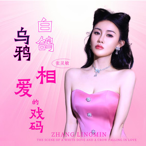 白鸽乌鸦相爱的戏码 (精致版)