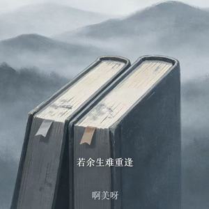 若余生难重逢