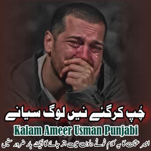 Chup Kr Gaye Ney Log Syaney Kalam Ameer Usman Punjabi Aarfana Sufi Kalam