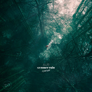 Summer Rain (LOST3N Remix)