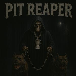 PIT REAPER
