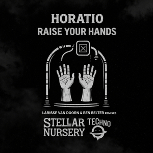 Raise Your Hands (Larisse Van Doorn Remix)