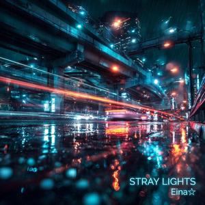 Stray Light