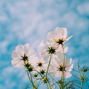 春天会回到你身旁