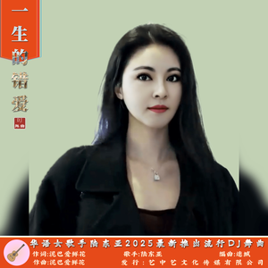 一生的错爱（DJ舞曲）