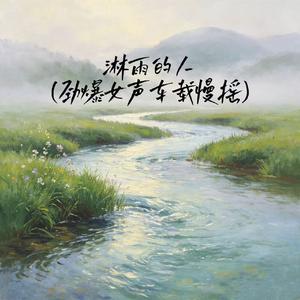 淋雨的人(劲爆女声车载慢摇)